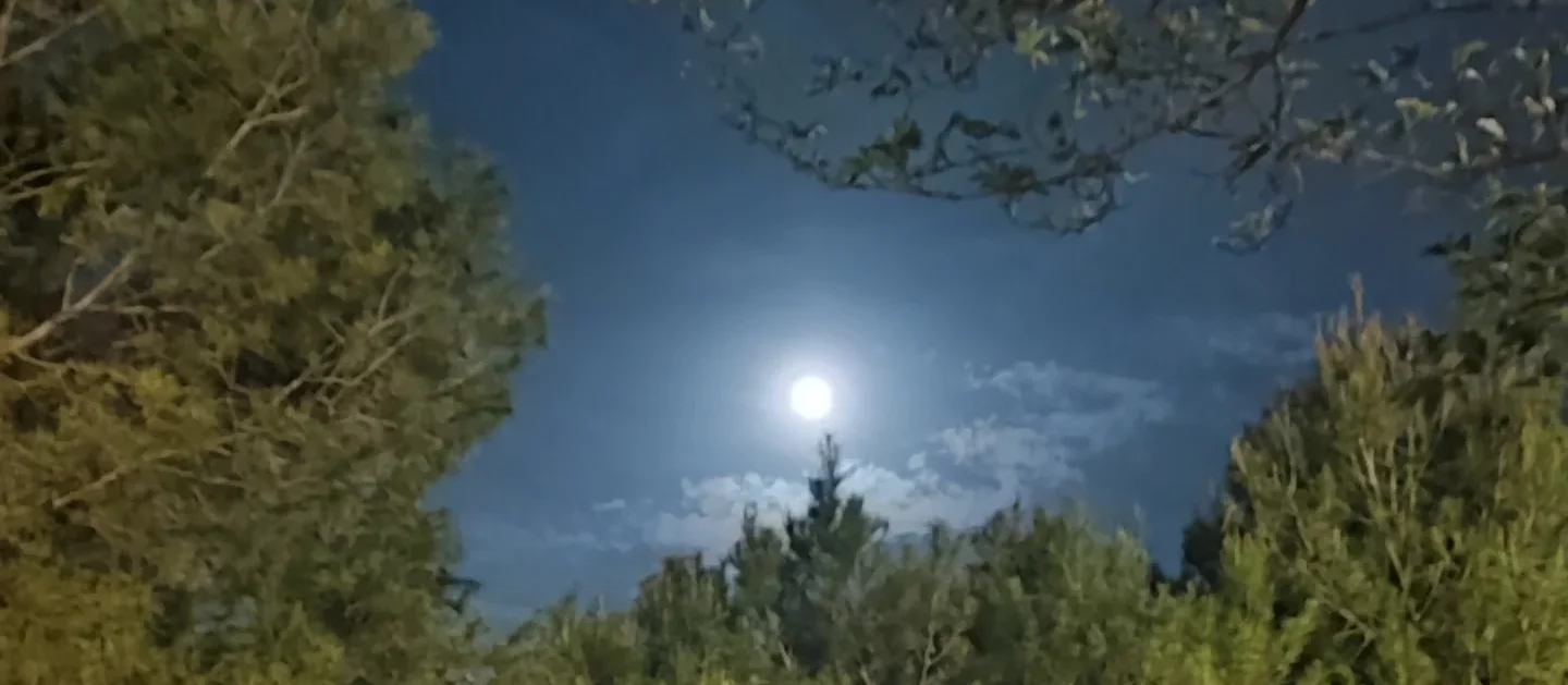 Astroiria